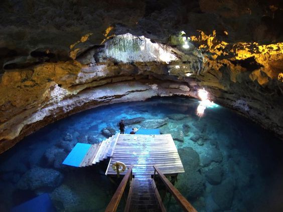 Springs in Florida : diving in Crystal River and the Devil's Den