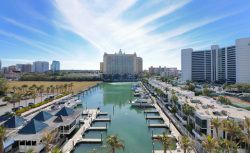 Busy & Steady in Sarasota