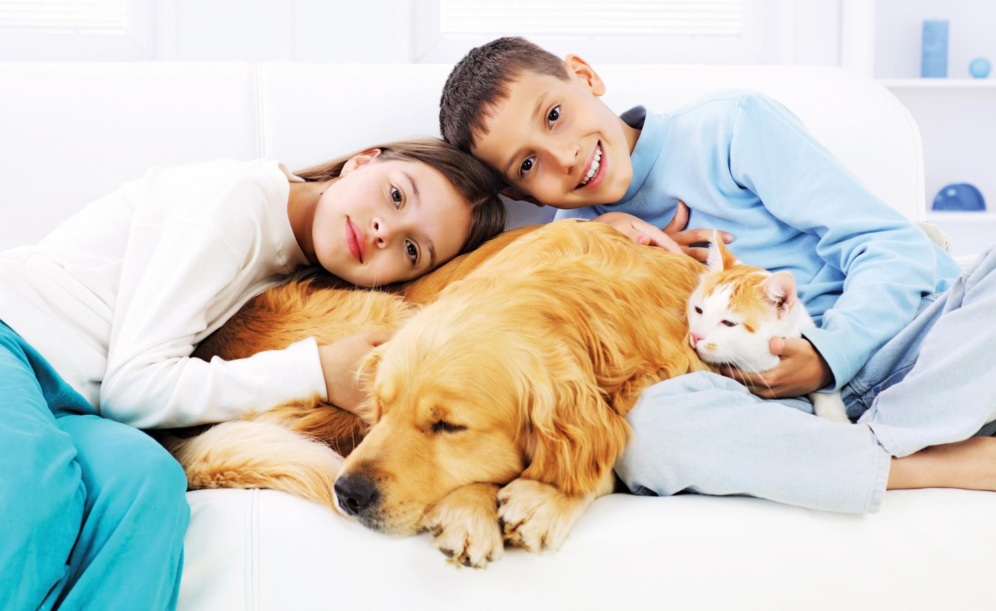 NAR Survey Shows Value of Pets When Buying and Selling